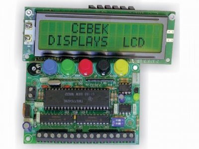 DISPLAY LCD PROG.2 LINEAS S/L CEBEK