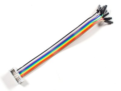 10-pin IDC Socket Rainbow Breakout Cable