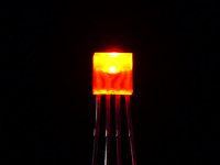 Diffused Rectangular 5mm RGB LEDs - Pack of 10
