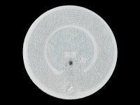 RFID Tag - Adhesive Mifare 1K (13.56 MHz)