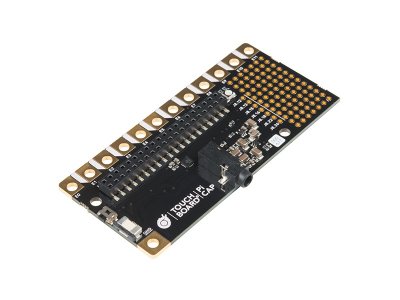 Bare Conductive Pi Cap