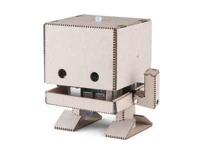 IBM TJBot, a Watson Maker Kit