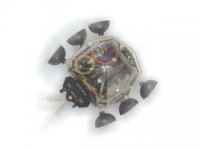 ROBOT LADYBUG CEBEK