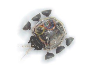 ROBOT LADYBUG CEBEK